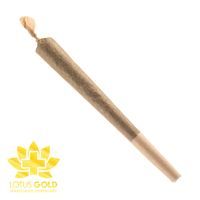 feature image Flower - Pre-Rolled Cone Sativa 1g