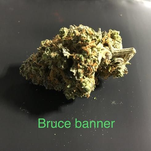 feature image Bruce Banner 
