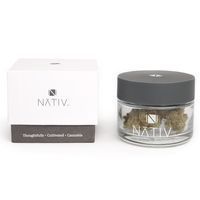 feature image Blueberry Cookies | Nativ