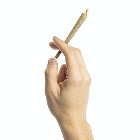 feature image 0.5g 88 G13 Hashplant Pre-Roll