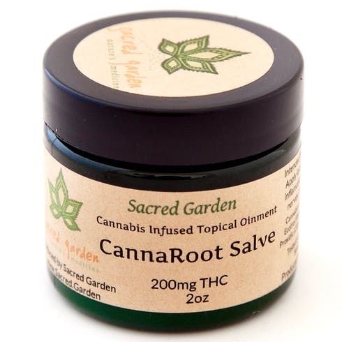 feature image Canna Root Salve