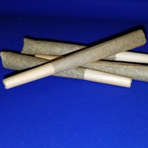 feature image Chocolope Pre-Roll