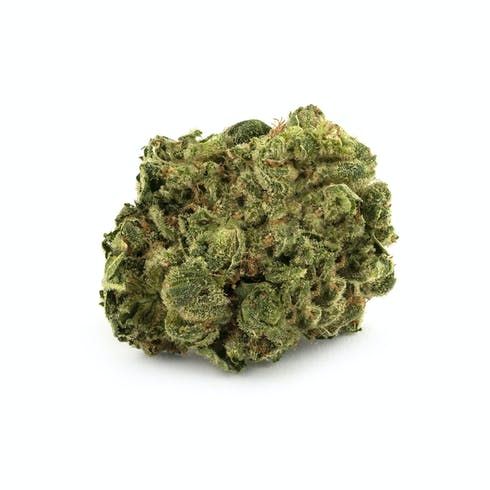 feature image Afghan Kush