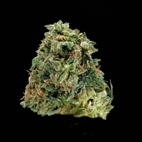 feature image Afghani Kush by Black Label Cannabis