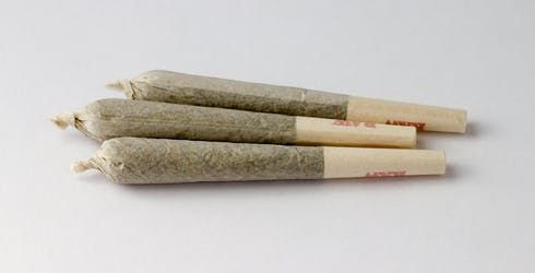 feature image 48 North Granddaddy Pre-roll 3x0.35g