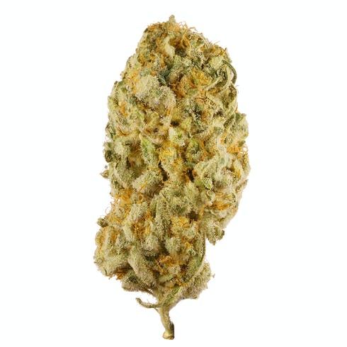 feature image 3.5g- $30- NW7- Jack Herer