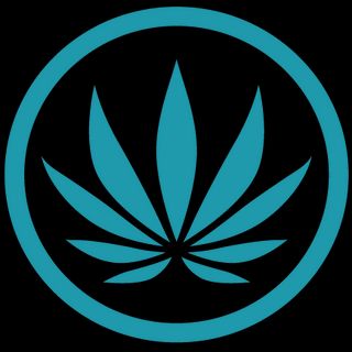 Choom Cannabis - Brooks