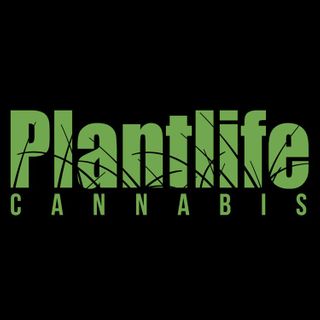 Plantlife Cannabis - Jagare Ridge