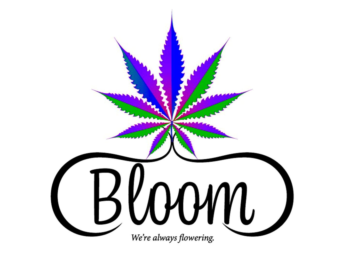 store photos Bloom Cannabis Dispensary 1