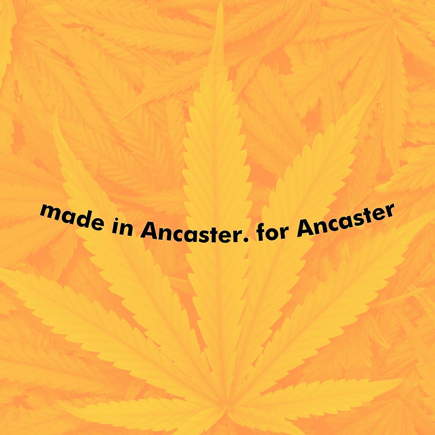 store photos Cannabis Roll - Ancaster
