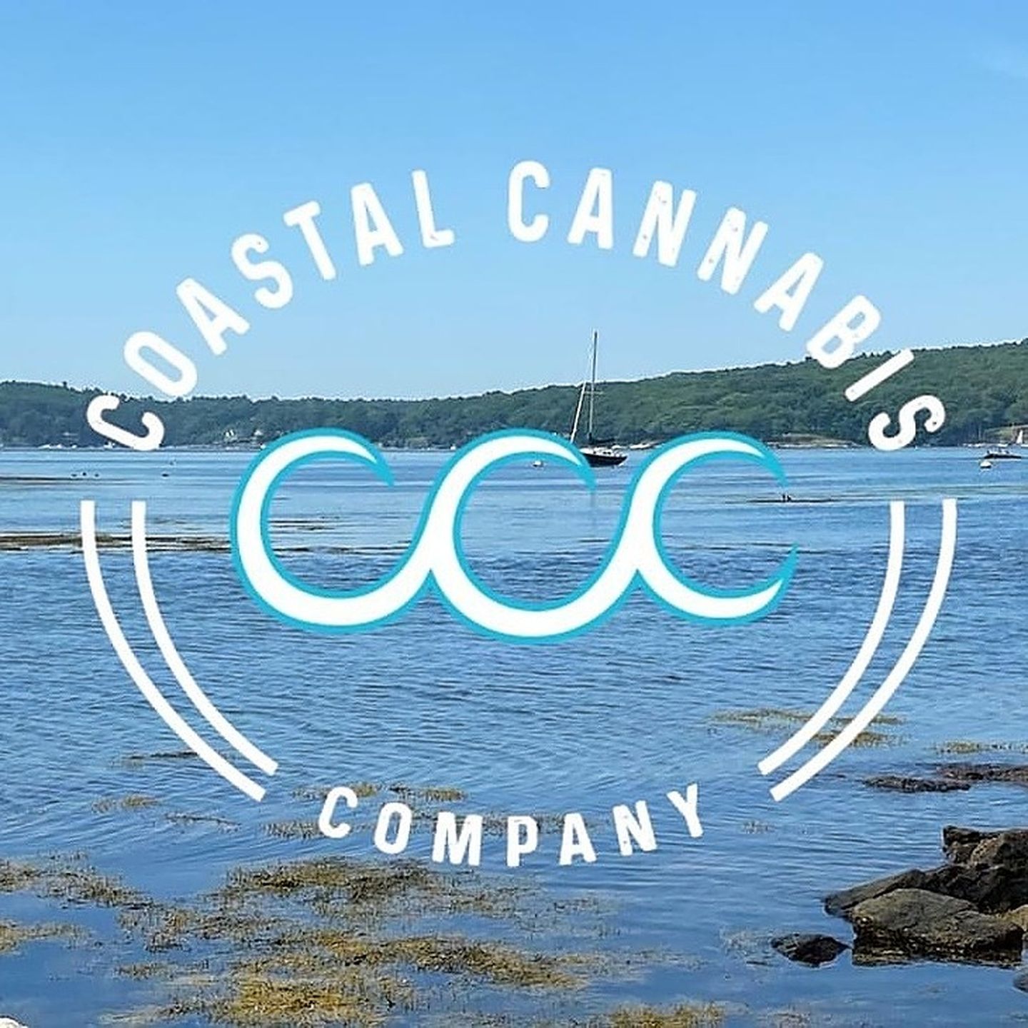 store photos Coastal Cannabis CO - Recreational