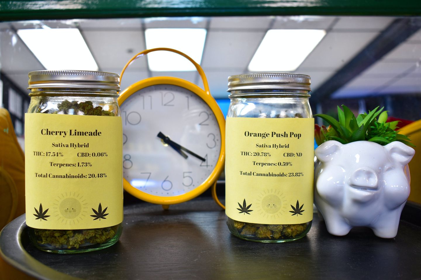 store photos Green Sunshine Medical Weed Dispensary  6