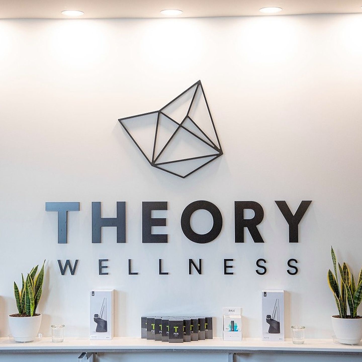 store photos Theory Wellness - Waterville 0