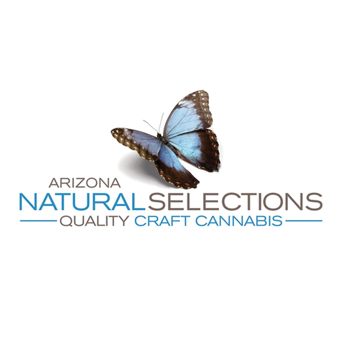 image feature Arizona Natural Selections of Scottsdale by Harvest (Recreational)