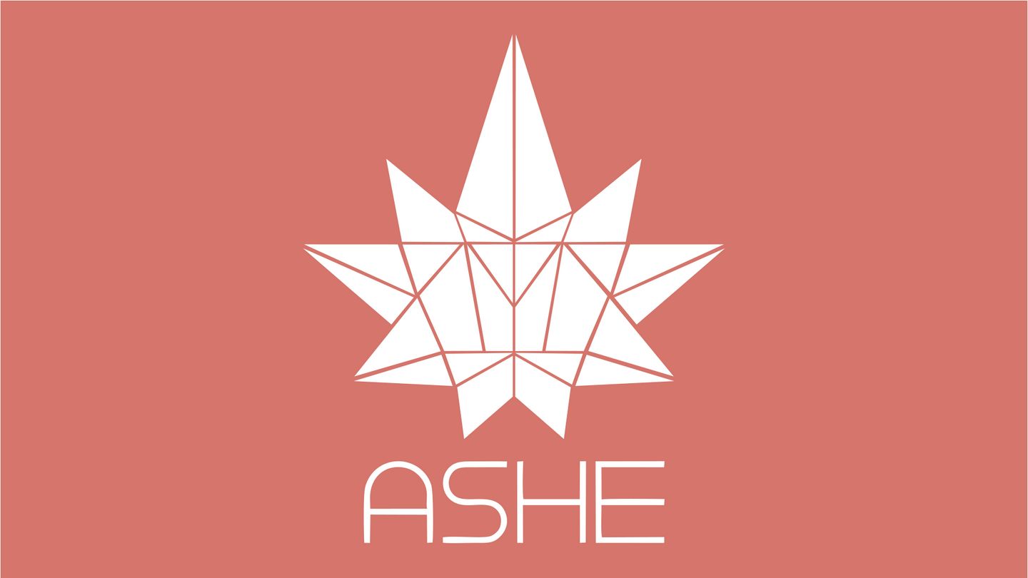 image feature ASHE Society