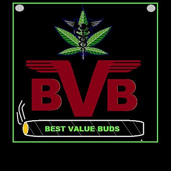 image feature Best Value Buds