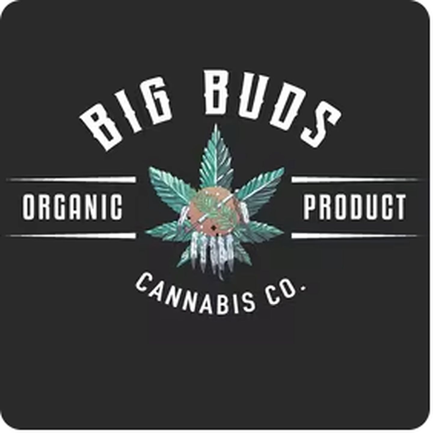 image feature Big Buds Dispensary-Mingo RD