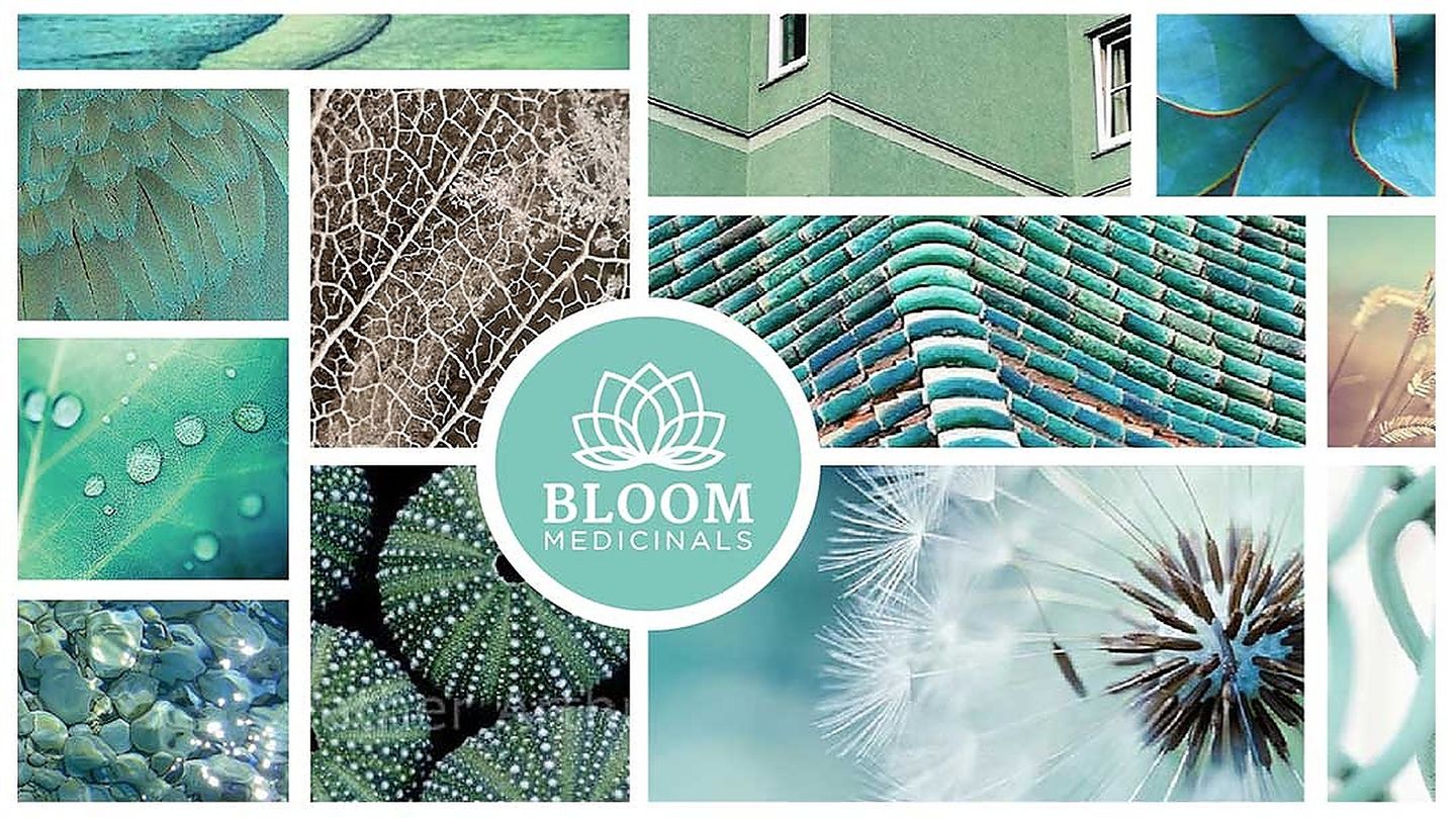 image feature Bloom Medicinals - Texarkana