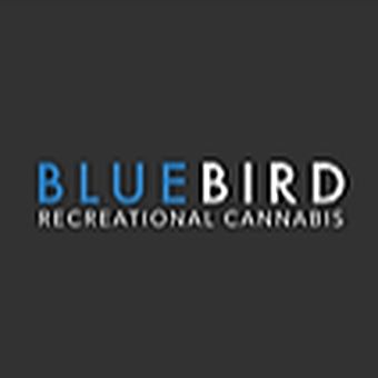 image feature BlueBird Cannabis - Ottawa (Coming Soon!)