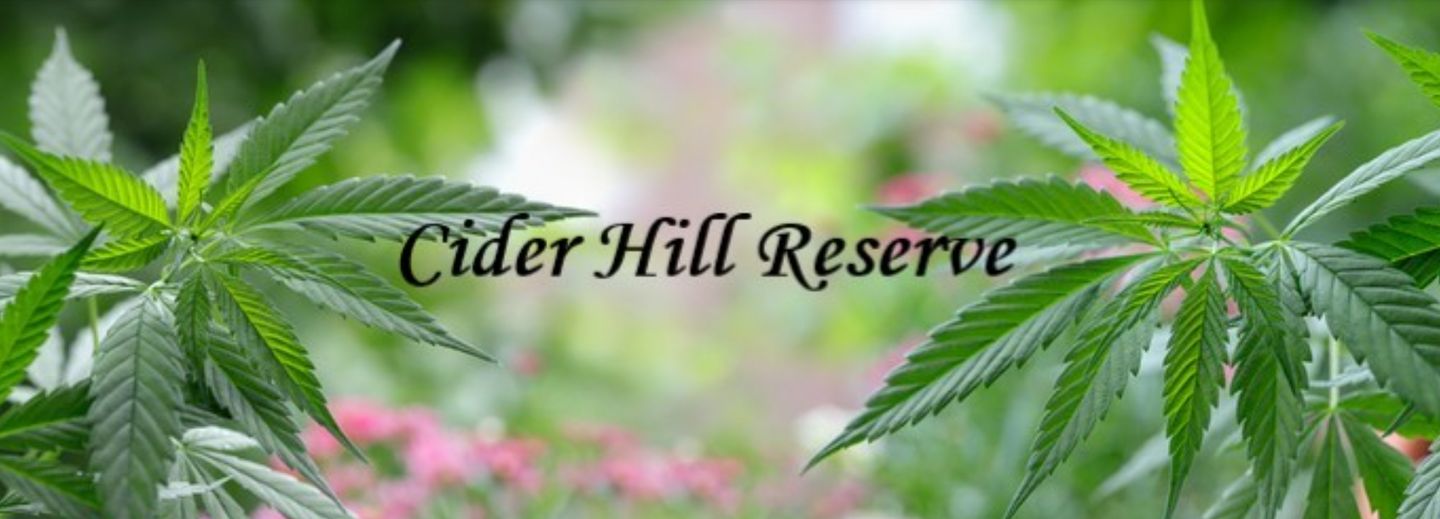 image feature Cider Hill Reserve