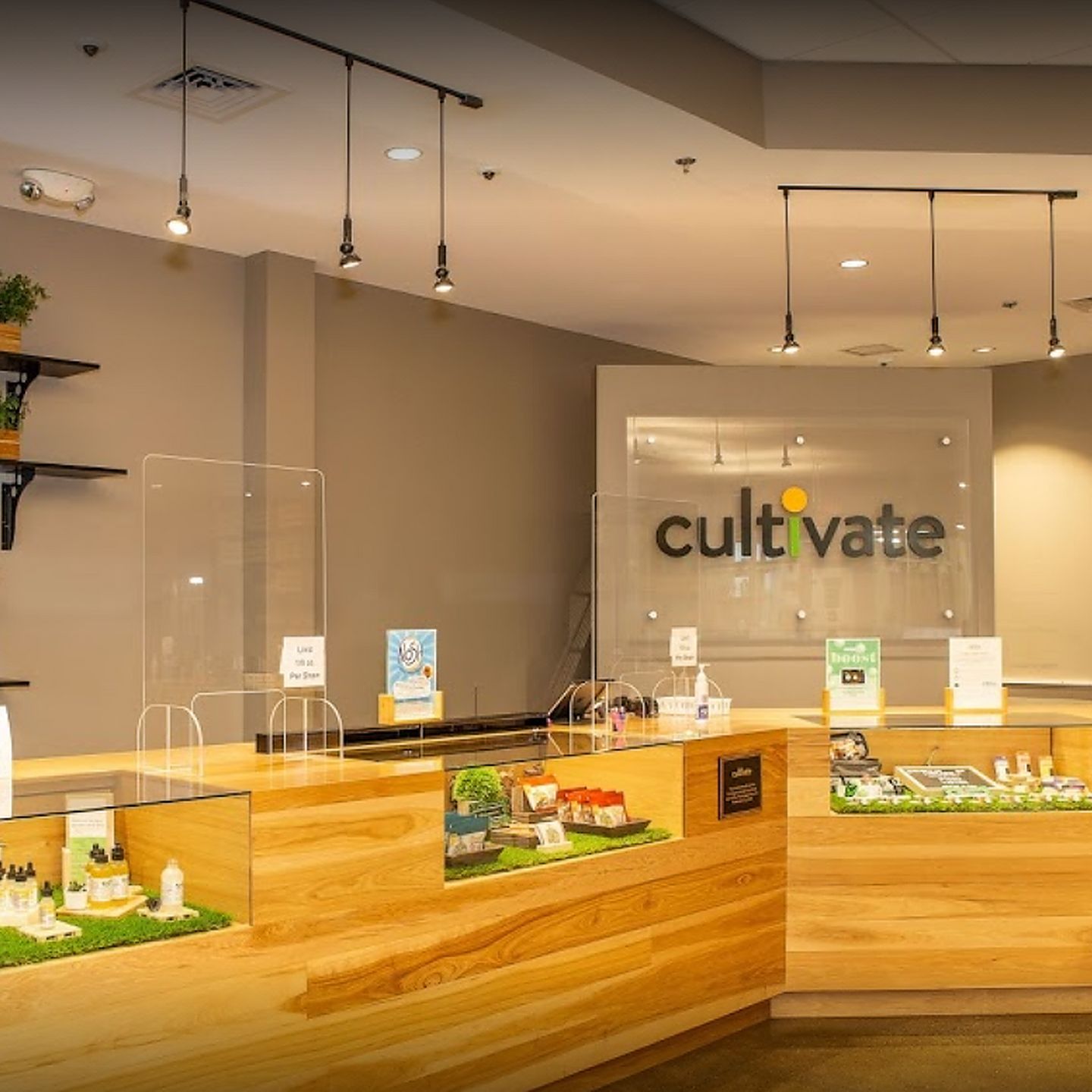 image feature Cultivate - Worcester (Rec)
