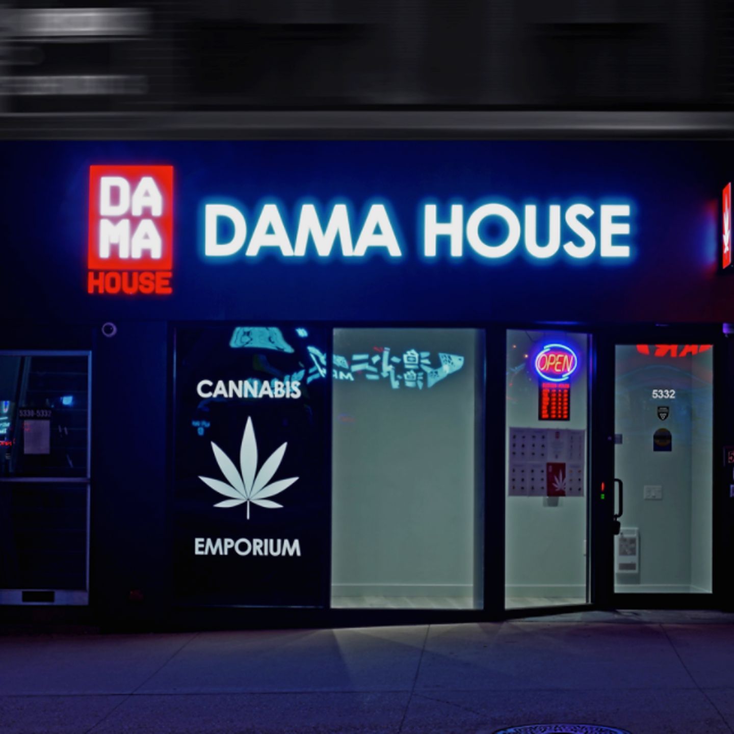 image feature DAMA House Inc