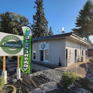 image feature Olympia - Forbidden Cannabis Club