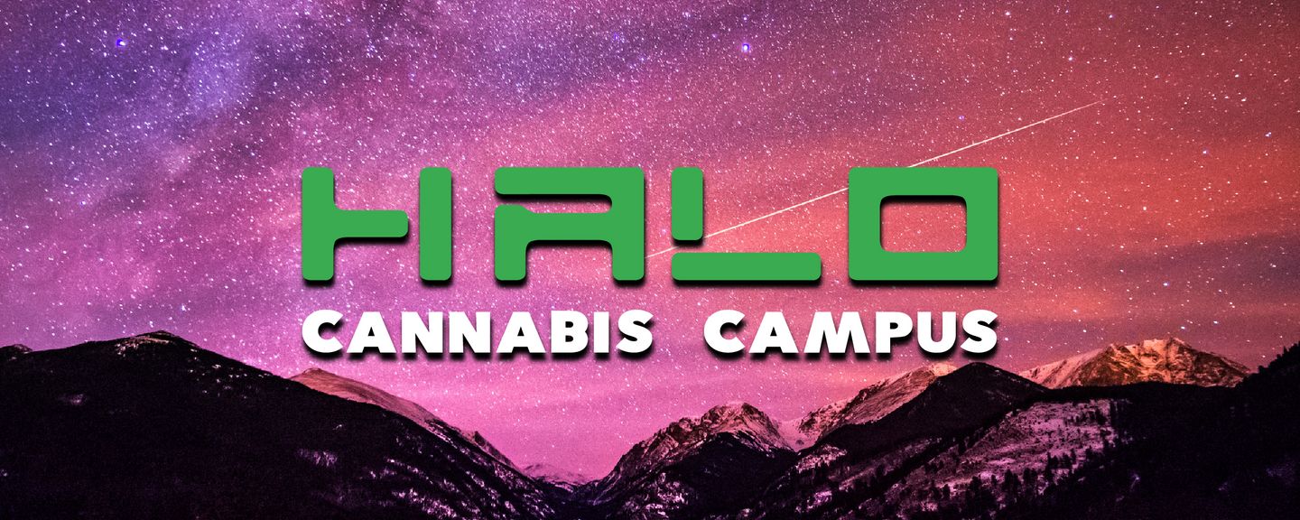image feature Halo Cannabis Campus