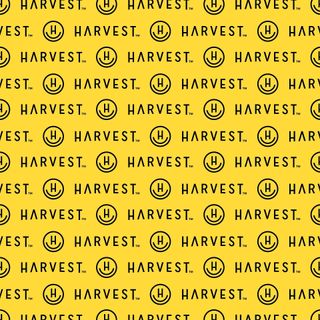 image feature Harvest HOC - Napa