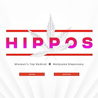 image feature  Hippos - Springfield (Coming Soon!)