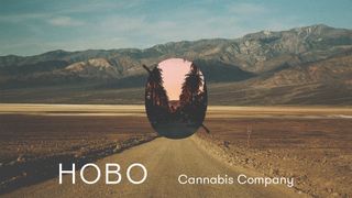 image feature Hobo Cannabis Company - Springfield