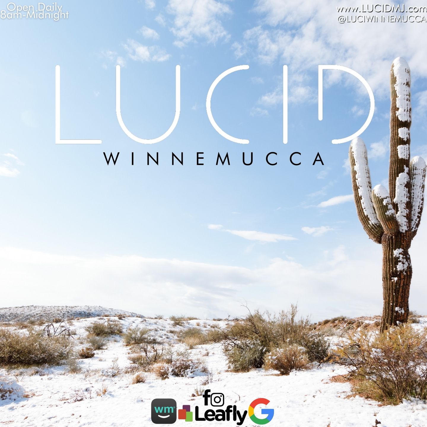 image feature Lucid Winnemucca