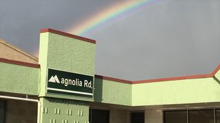 image feature Magnolia Road Cannabis Co. Boulder (REC)