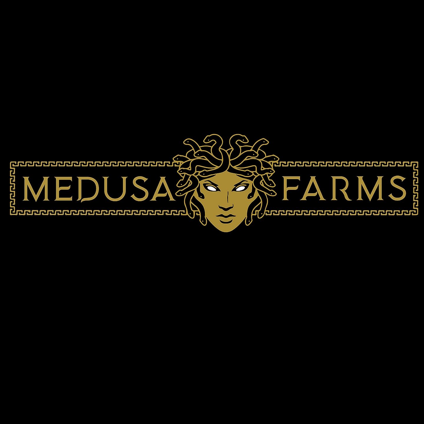 image feature Medusa Farms (Medical)