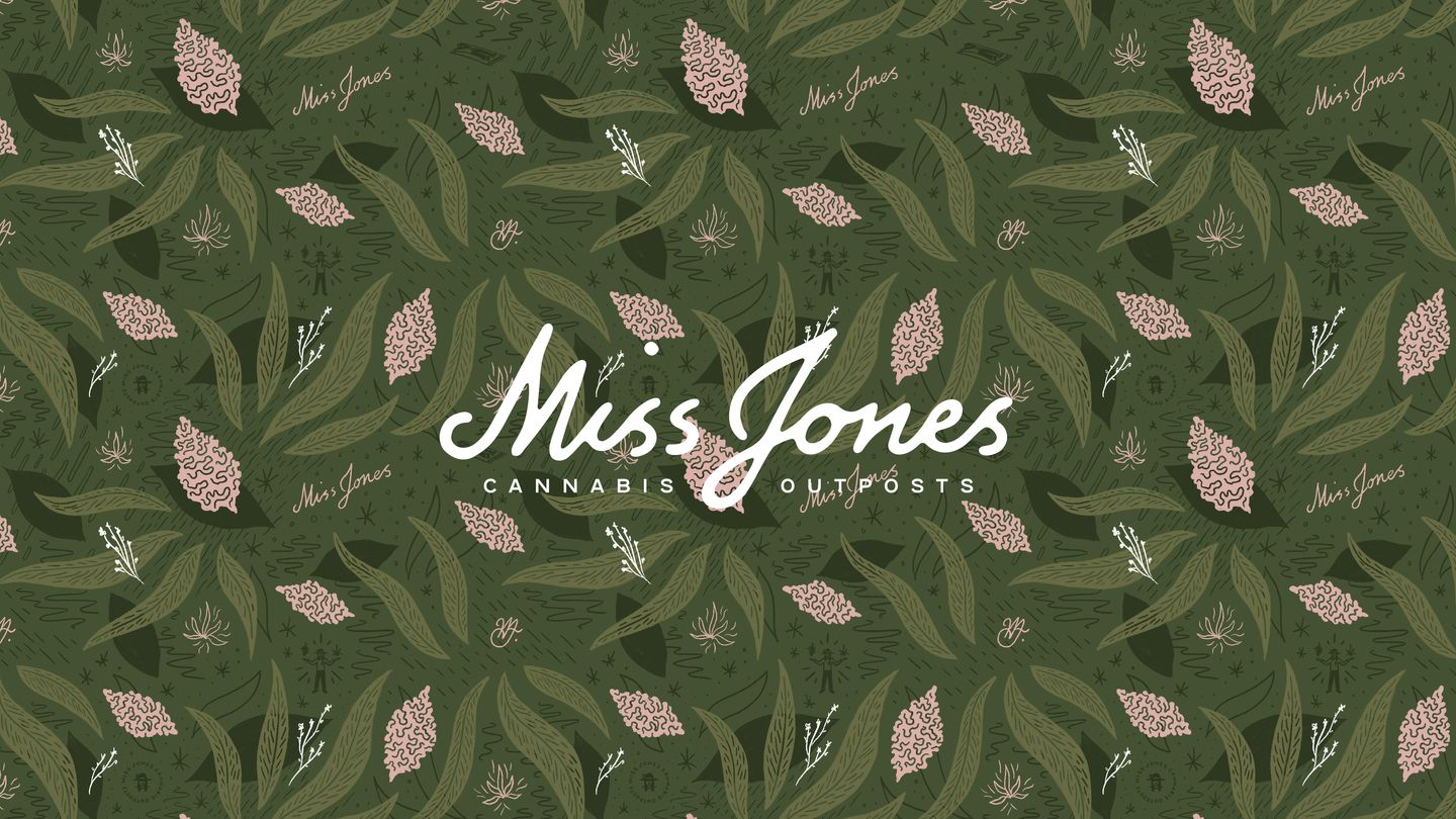 image feature Miss Jones - Allandale Outpost