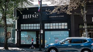 image feature Muse Cannabis Store - 3039 Granville St - Vancouver
