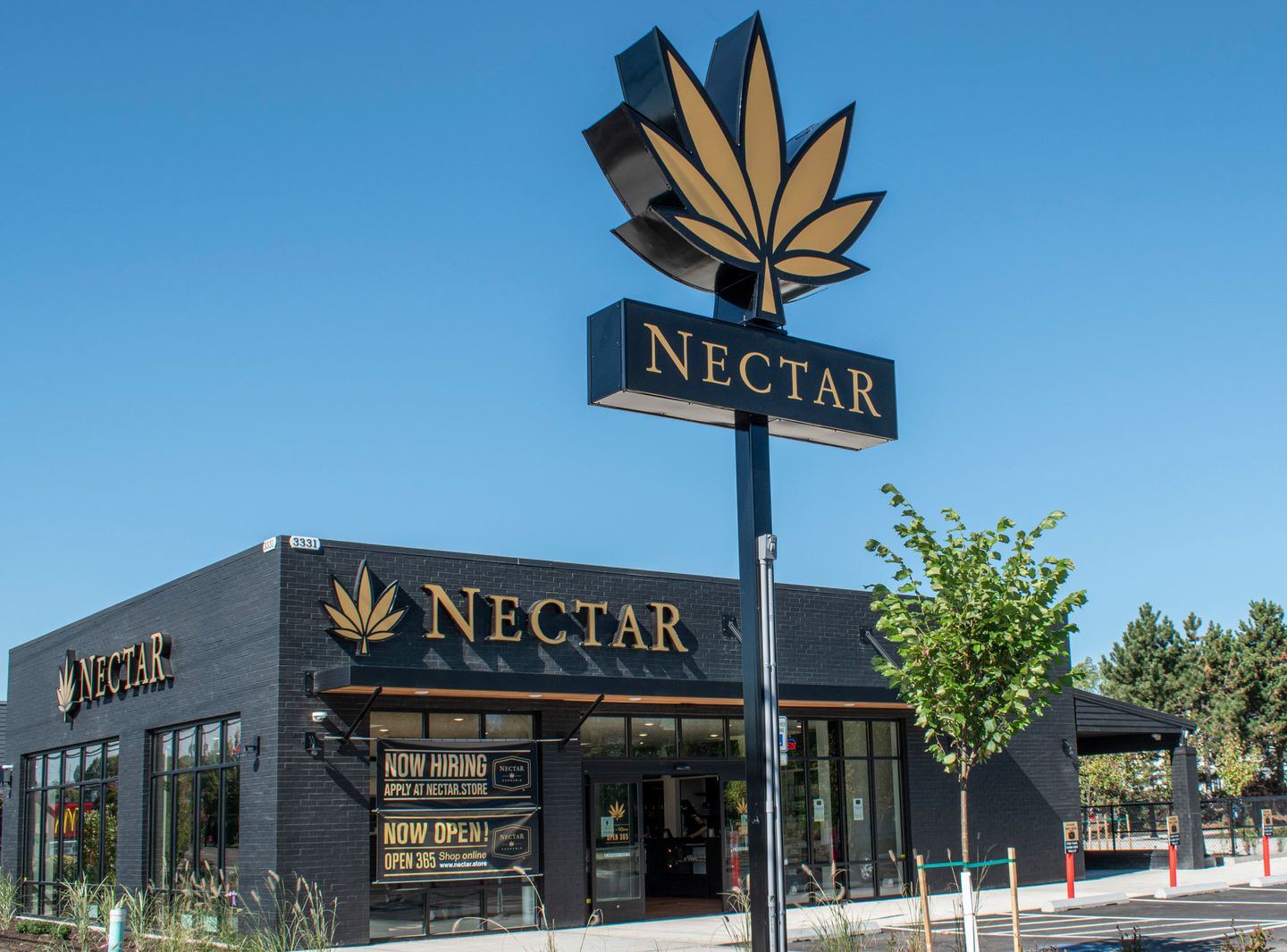 image feature Nectar - Forest Grove