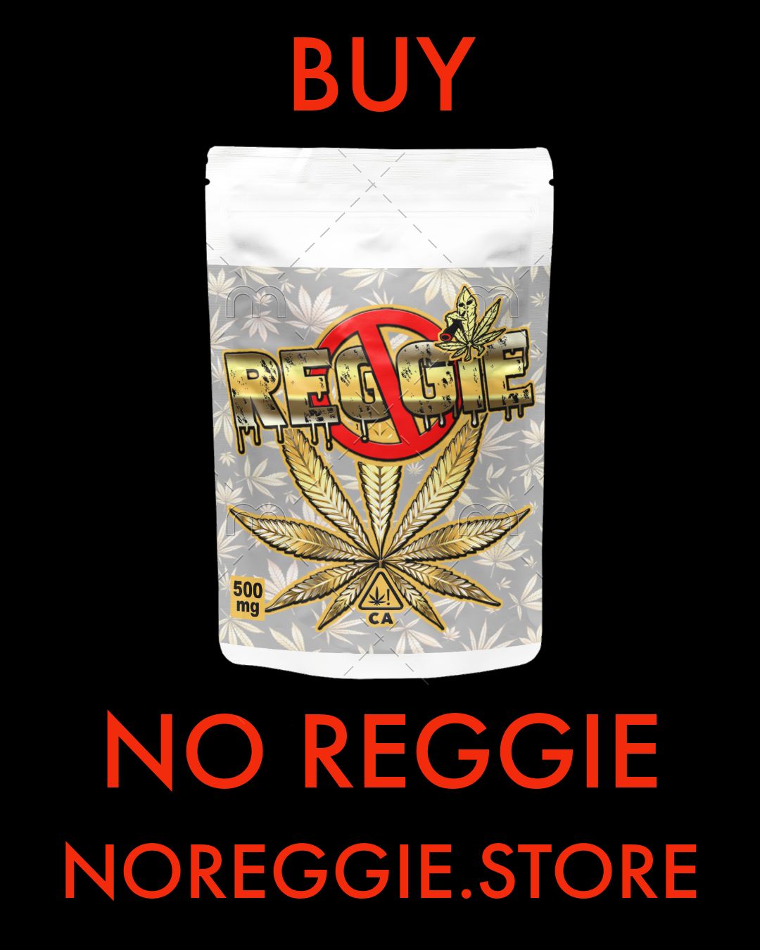 image feature No Reggie