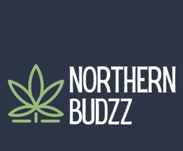 image feature Northern Budzz
