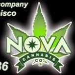 feature image Nova Cannabis Co.