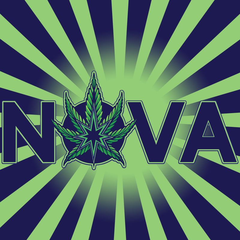 image feature Nova Cannabis Of Marietta