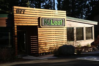image feature NuLeaf - Lake Tahoe