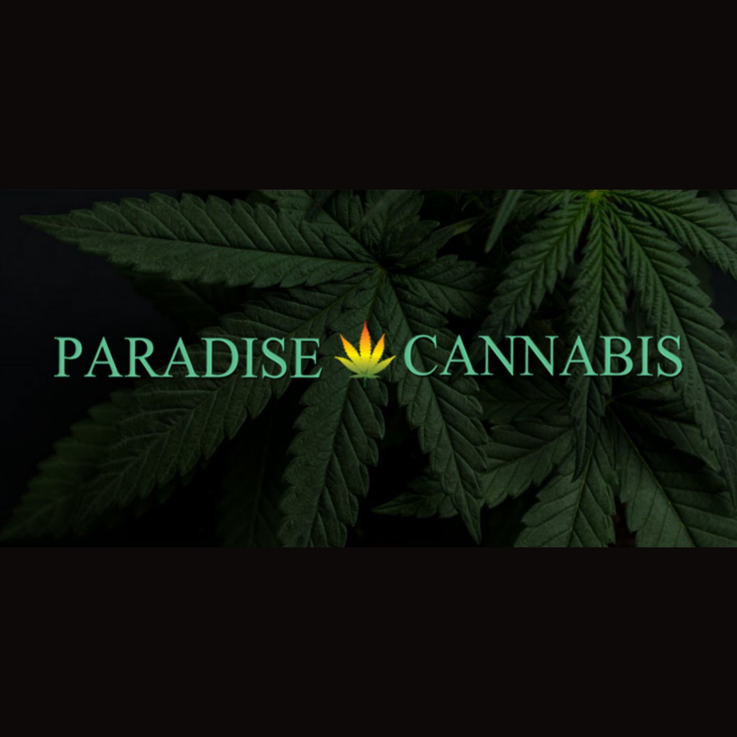 image feature Paradise Cannabis - Niagara Falls