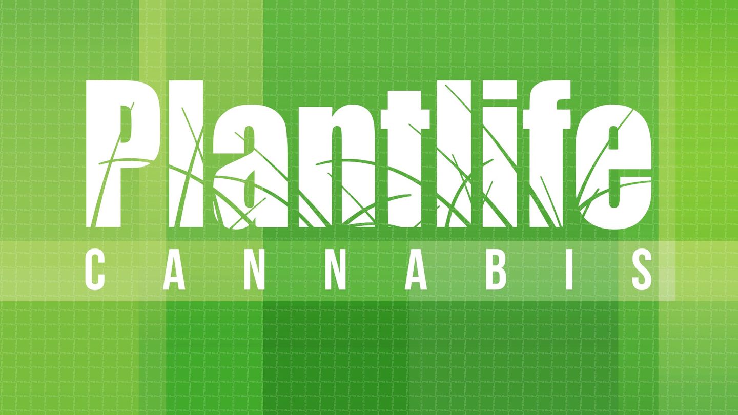 image feature Plantlife Cannabis - Camrose