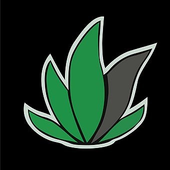 image feature Platinum Leaf Cannabis