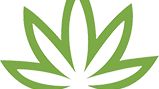 image feature Quartz Creek Cannabis