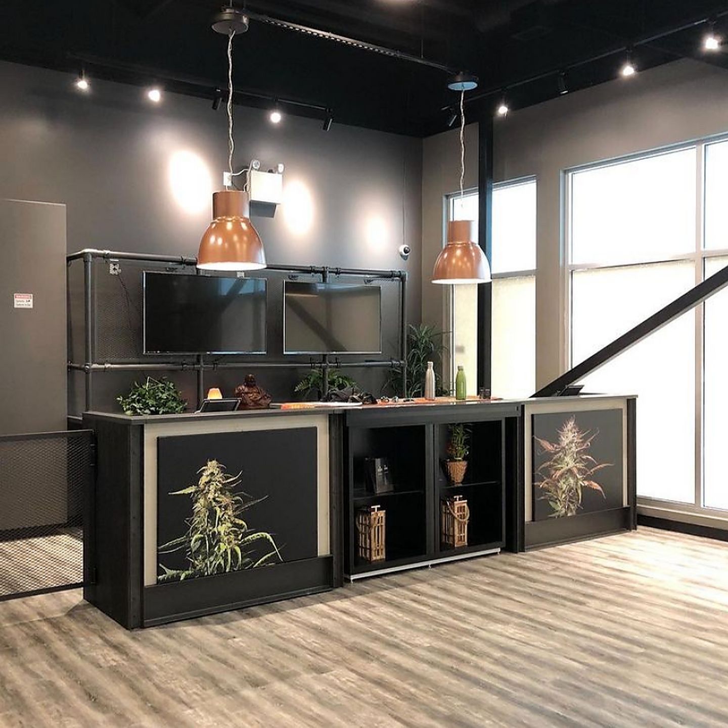 image feature Star Buds Cannabis Co. - Portage Ave, Winnipeg