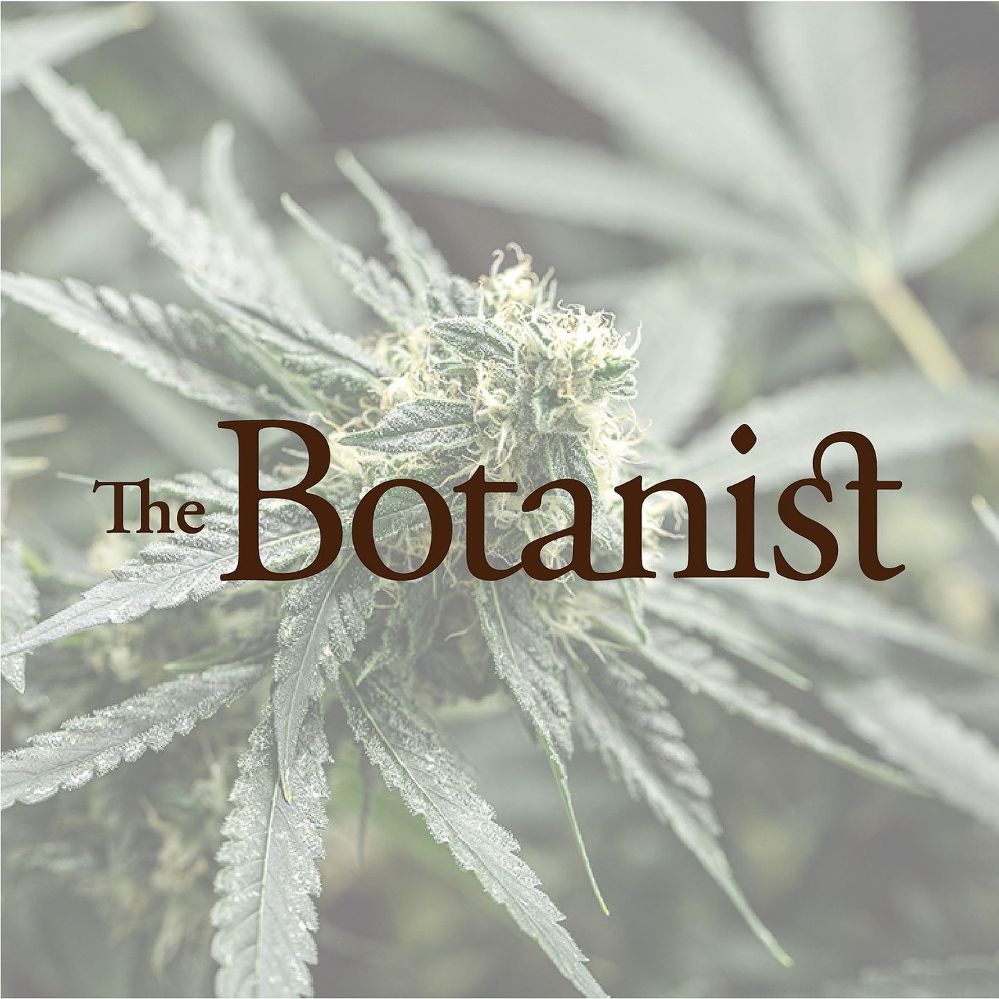 image feature The Botanist - Egg Harbor Township