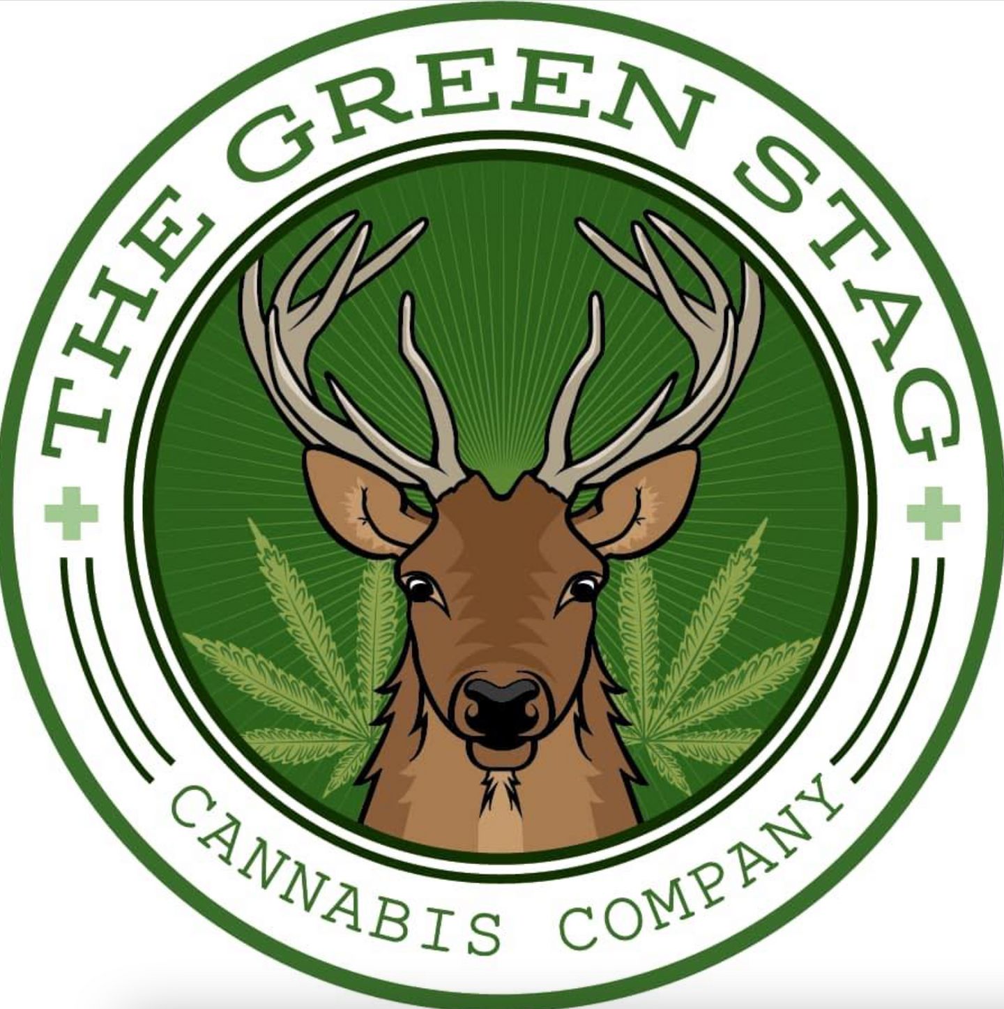 image feature The Green Stag Cannabis Co.