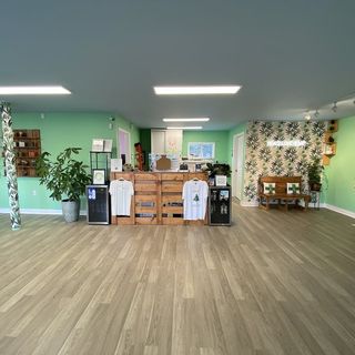 image feature The Hemp Store - Raleigh